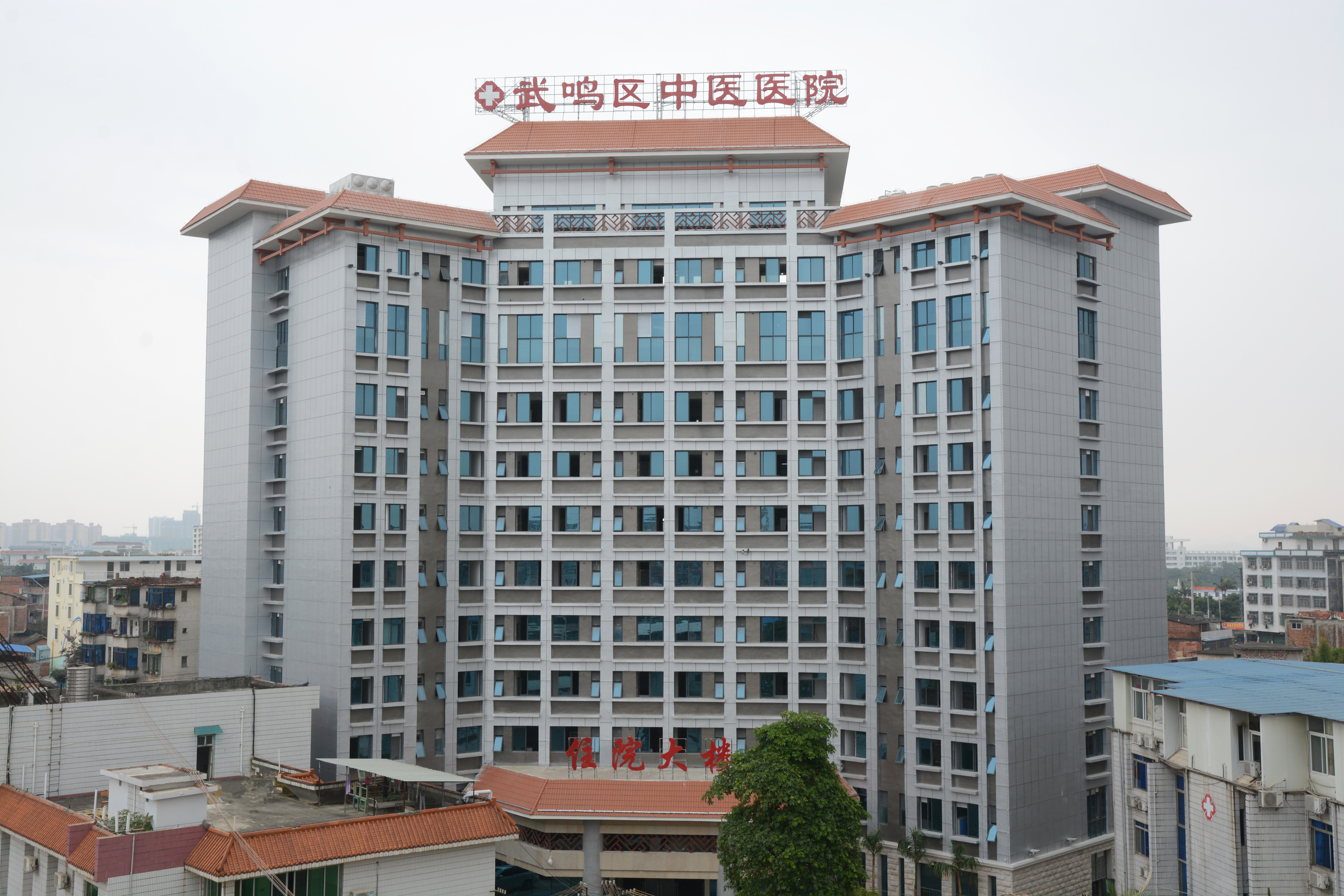 武鸣中医强势崛起　“四斌”同台星光闪耀 