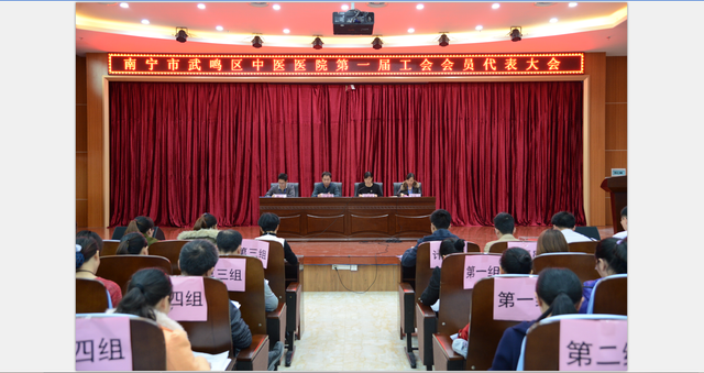 南宁市武鸣区中医医院 第一届工会会员代表大会顺利召开 